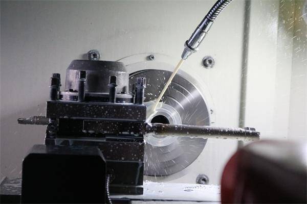 IMG_1311-600 IMG_1311-600